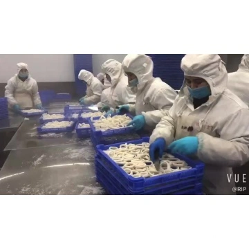Squid Ring Squid Ring Langsung Dari Zhoushan City Shuangying Aquatic Products Co Ltd Di Cn