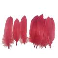 Soft Red and White Feather