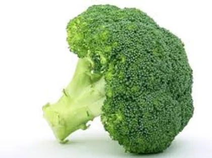 The Efficacy And Function Of Broccoli