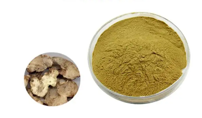 Bletilla striata extract powder