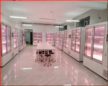 Biological culture research cabinet YD18GBP-B01-AK