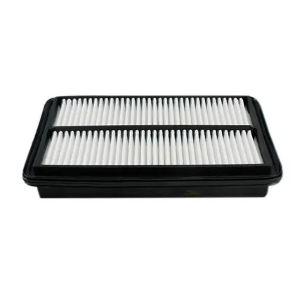 Hebei ZYC Air Filter for Car 17220-RYE-A10