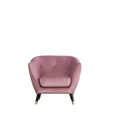 Modern Design Dining and Living Room Chairs for Hotels