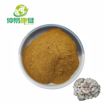 Organic Maitake Mushroom Powder