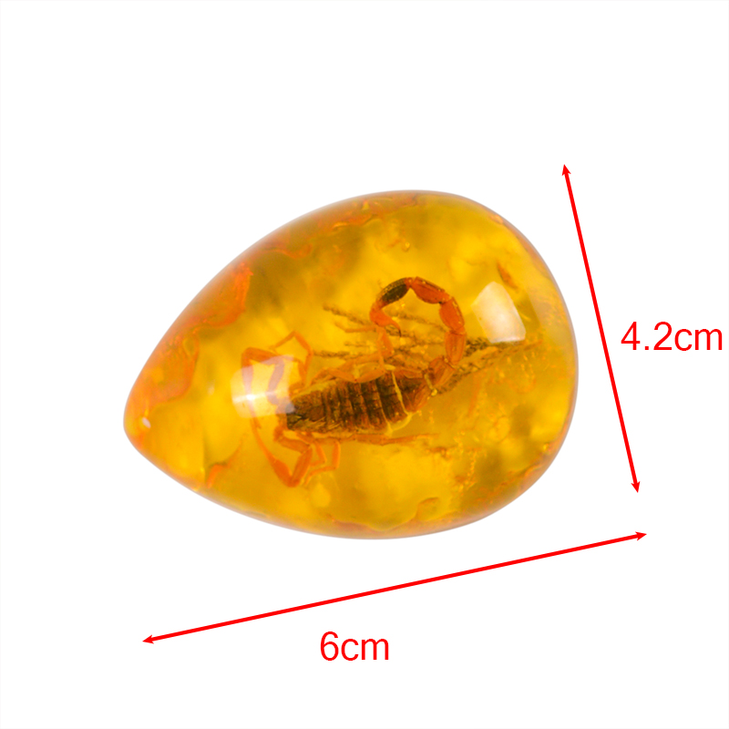Natural Scorpions Insect Inclusion Amber Baltic Gemstone Pendant Necklace Sweater Decorations DIY Ornament Craft Gift