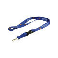 Blue Customized Lanyard with string Holder