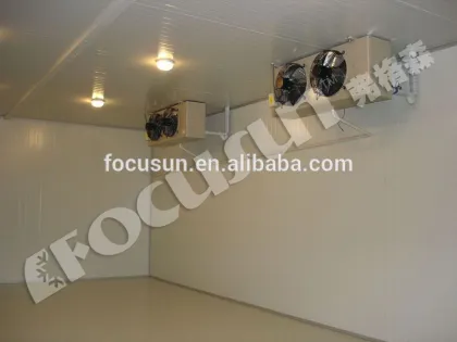 Cold storage for block ice, flake ice, tube ice