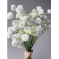 সাদা Lisianthus উচ্চ মানের বিবাহের তাজা ফুল