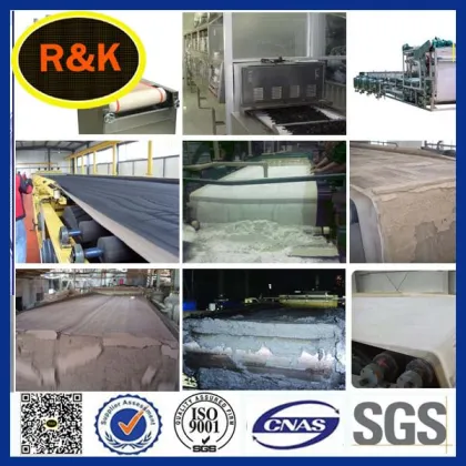 polyester filter cloth for Phoenix