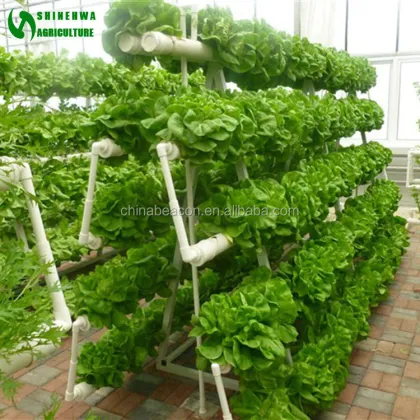 Vertical NFT PVC Pipe Commercial Hydroponics Greenhouse