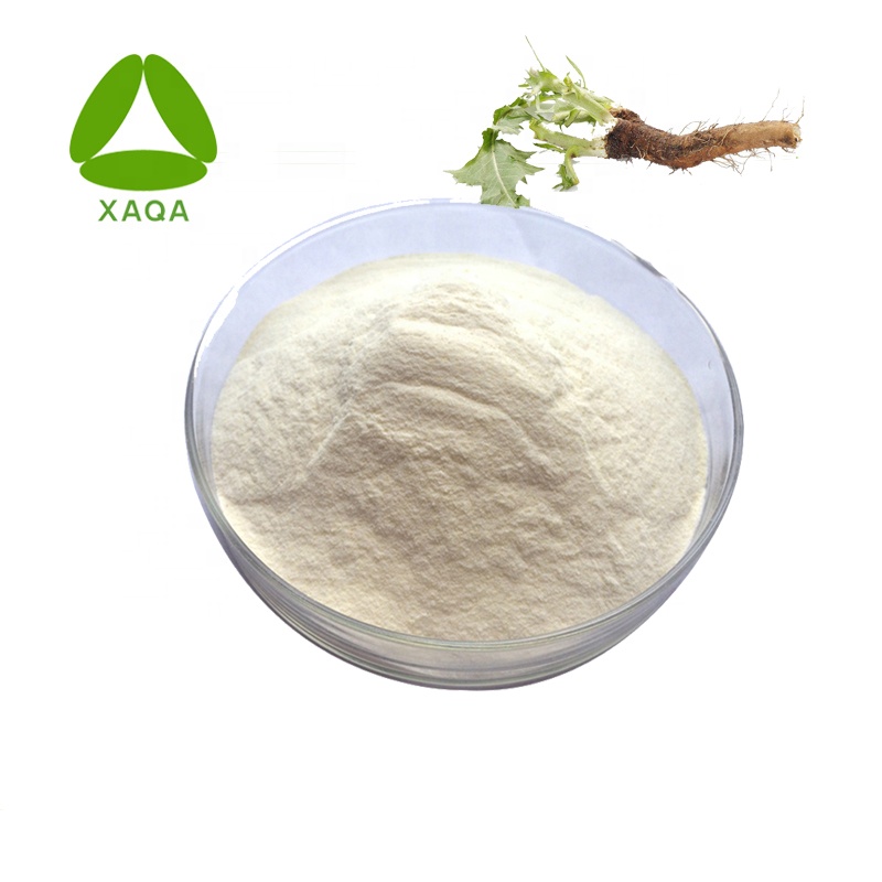 Synanthrin 98% Inulin Powder Chicory Root Extract