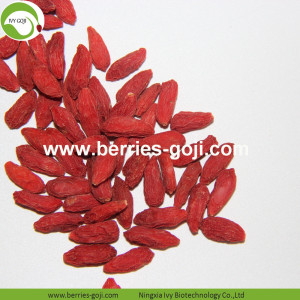 Wholesale Super Food Improve Eyesight Ningxia Goji Berry