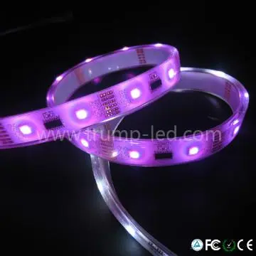 Updated promotional ic rgb led magic strip ws2801