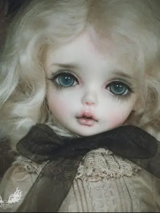 Limited Edition BJD Catnip 40cm Girl Dear Doll