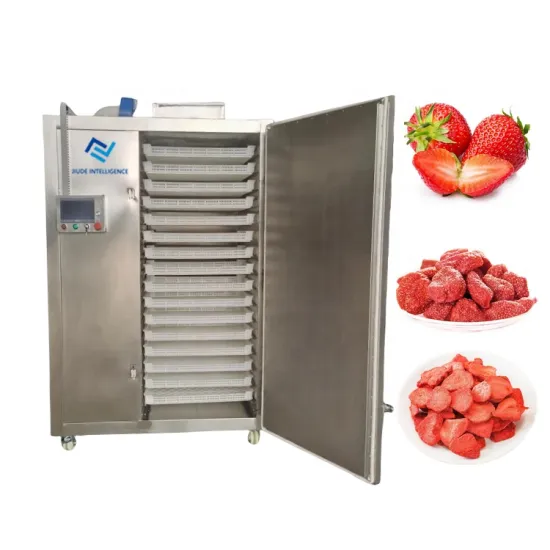 Automatic Pineapple Drying Machine | Moringa Leaf Dryer | Meat Dehydrator | Coffee & Fruit Dryer | Best Selling Products 2024