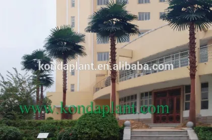 High quanlity pine tree plastic welcoming pine tree for hotel christmas party decoration xmas greeting pine tree