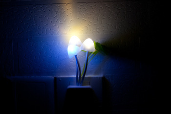 The light Sensor led mushroom night lamp