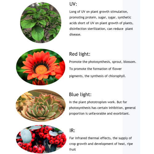 LED เต็มสเปกตรัมพืช hydroponic เติบโตแสง