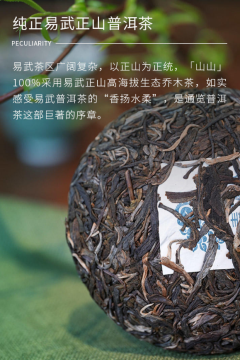 2024 Shanshan Raw Pu'er Tea 100g