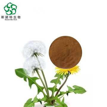 Dandelion Extract Powder Used as Food Additive