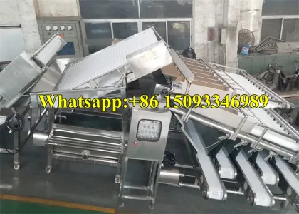 High Capacity Prawn Selection Classifier Machine