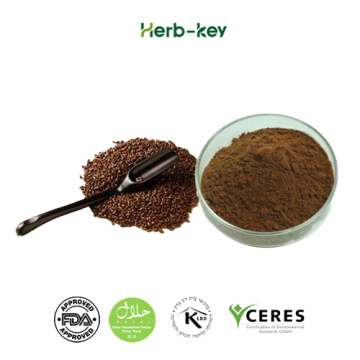 Cassia Seed Extract Herbal Medicine Cassia Seed