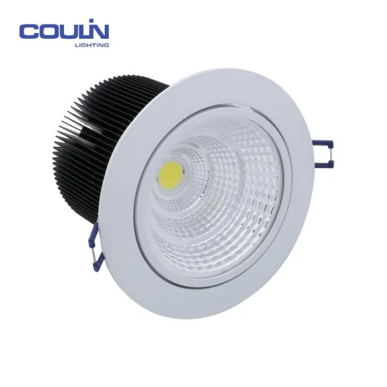 Professional Good Quality Round Rotated Cob Led Downlight