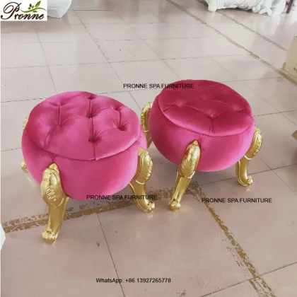 Luxurious Beauty Salon Nail Spa Master Chair with Pedicure Stool and Back Support