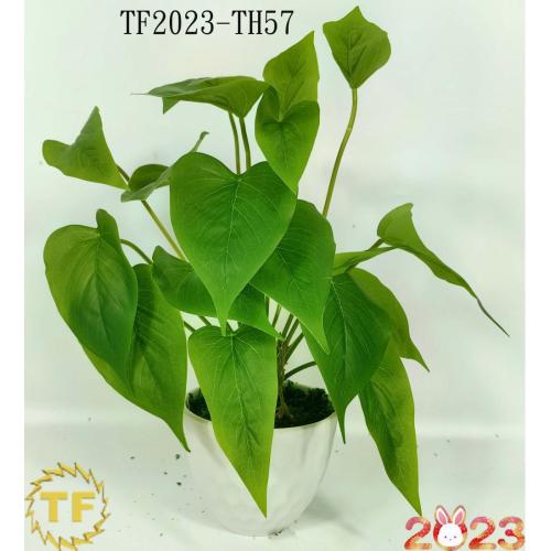 33cm Pothos Jade Green leaf x 12 with plastic Pot