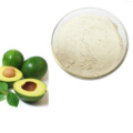 Phytosterols Dried Avocado Fruit Extract Powder