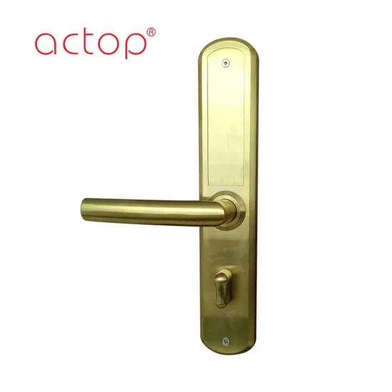 2019 new type high quality hotel door lock