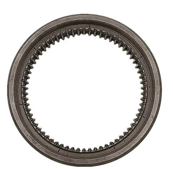 BEZN OEM Auto Parts Input Transmission Synchronizer 389 262 2923/389 262 0723