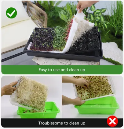 Indoor Microgreens Seeds Growing Kit: Vegetable Plant Tray Nursery Set