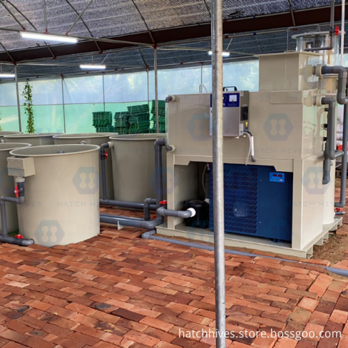 Steel Structure Prefabricated Building for Aquaculture: HatchHives Crawfish Hatchery RAS System Equipment for Fish Farming
