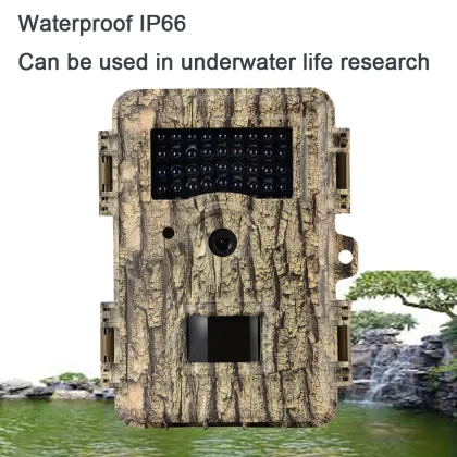 Digital Motion Sensor Wildlife Research Trap Camera