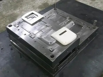 mould