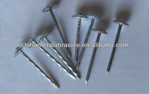 9BWG Umbrella head roofing nails(Low price)