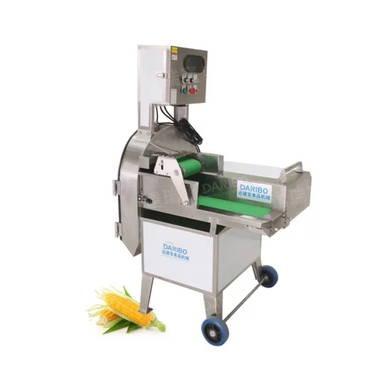 Carrot Cabbage Chili Slicing & Coriander Cutting Equipment