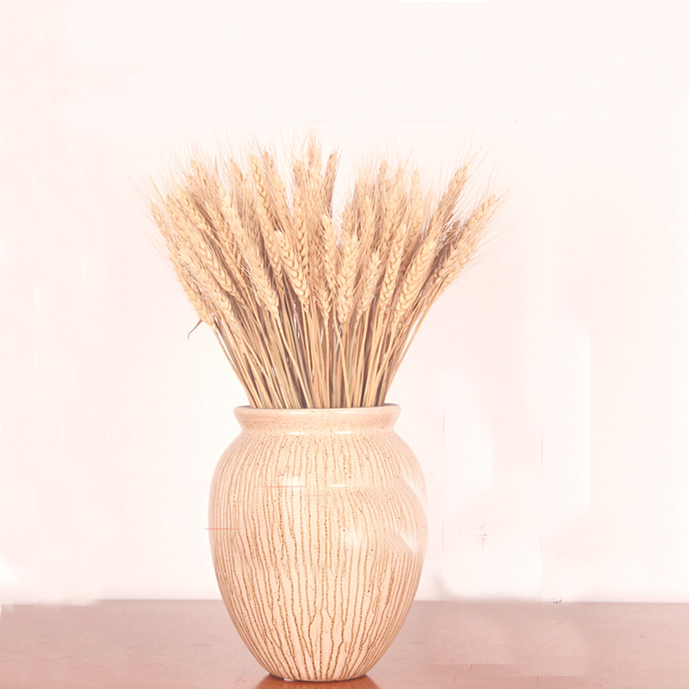 50pcs natural dried flower bouquets natural raw color dried ear of wheat bouquets wheat ear Bunches