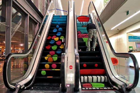 Escalator With 600mm to 800mm 1000mm Steps Sidth