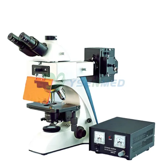 YSXWJ-FL2 Ysenmed Medical Lab Fluorescence Electron Microscope Price