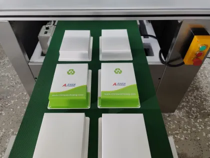 AC-600L Automatic All-Paper Blister Packaging Machine