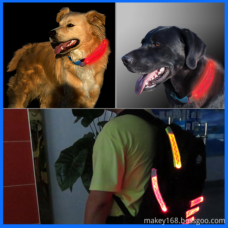 Led Dog Collar Band