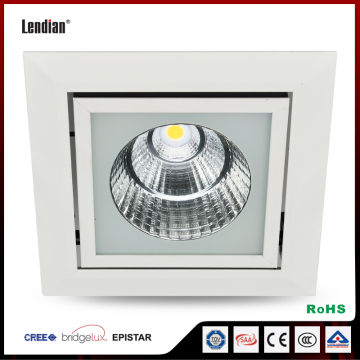 Zhongshan manufacture 20W adjustable LED grill light with 5 years warranty