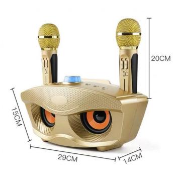 Outdoor portable bluetooth karaoke speaker