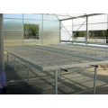 Agriculture Seed Bed for Vegetable Greenhouse