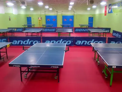 High end ITTF Table Tennis Flooring 7.0mm Pro