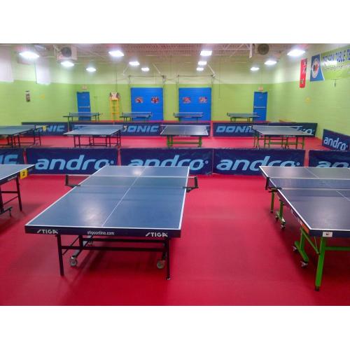 Lantai Sukan Pingpong PVC Dalaman Profesional