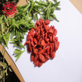 Sugar Free Antioxidant Nutritional goji berries