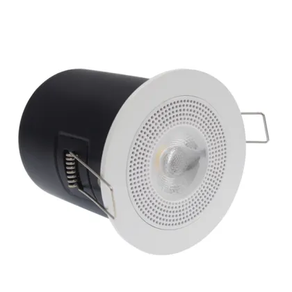 Smart downlight with speaker
